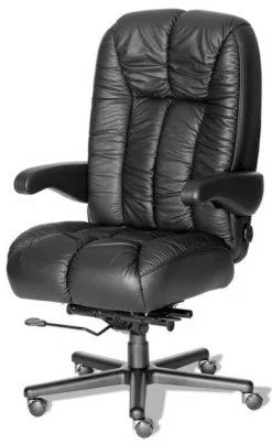 ERA Products Heavy Duty Newport Chair [OF-NEWP]